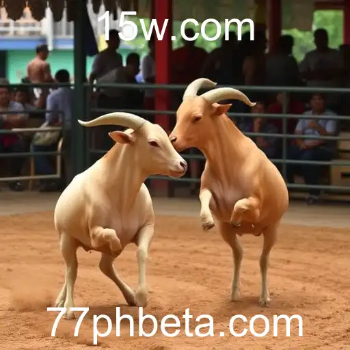Sabong Online: A Nova Era do Entretenimento Digital com 77phbet
